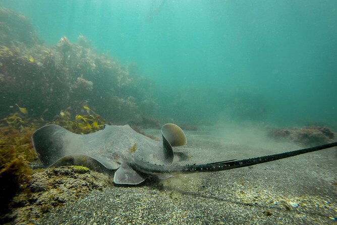 Guided Snorkel Experience, Advanced - Getting kitted up fast: wetsuit, weight belt, and proper fit