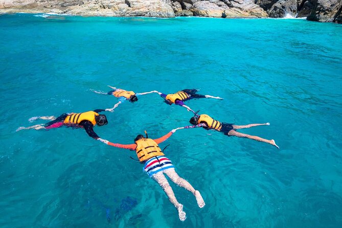 Guided Snorkeling and Island Exploration in Auckland - Meeting at the island wharf, and why ferry planning is the whole game