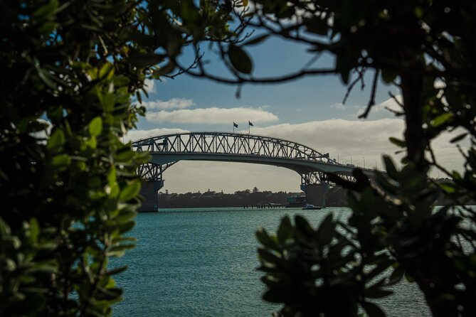 Half-day Discover Auckland City Sightseeing Tour - Key highlights you will feel fast