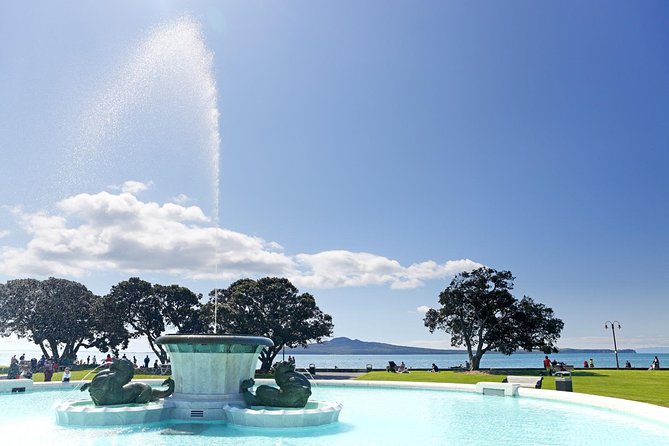 Half-day Discover Auckland City Sightseeing Tour - Why This Half-Day Auckland Loop Works