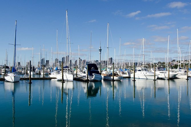 Half-day Discover Auckland City Sightseeing Tour - Northcote and the No-Formal-Coffee Approach