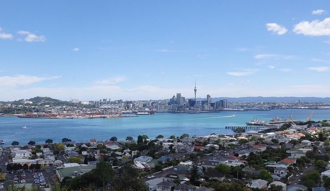 Half-Day: Small Group Auckland Scenic Tour - 4 HOURS - Quick hits before you go