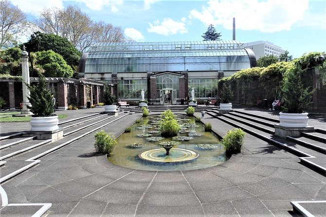 Half-Day: Small Group Auckland Scenic Tour - 4 HOURS - Mount Eden volcano summit: getting the height that city neighborhoods hide