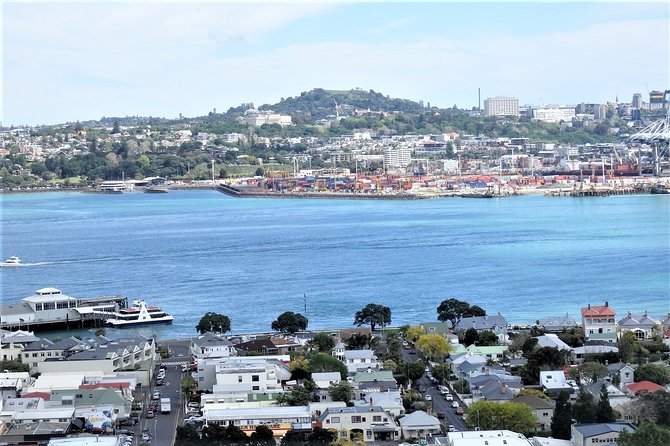 Half-Day: Small Group Auckland Scenic Tour - 4 HOURS - Achilles Point, Remuera, and Parnell: the neighborhoods with big opinions and old bones