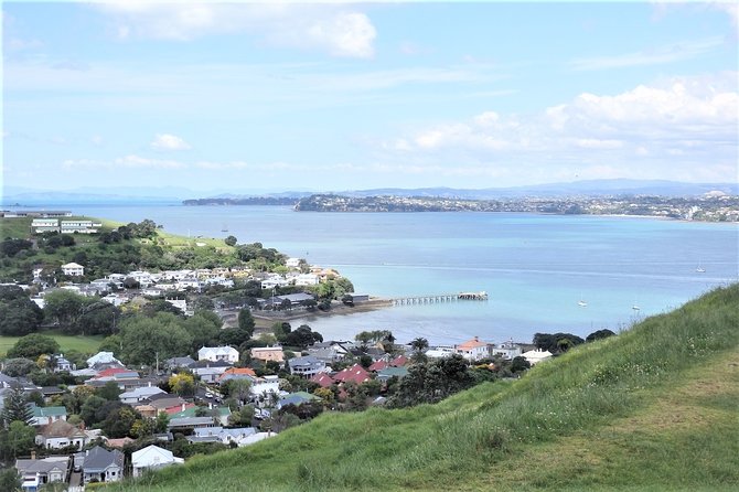 Half-Day: Small Group Auckland Scenic Tour - 4 HOURS - How the walking and timing usually feel on the day