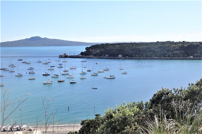 Half-Day: Small Group Auckland Scenic Tour - 4 HOURS - Pickup and van logistics, the details that make or break a half day