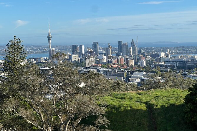 Half-Day Tour: AUCKLAND CITY Highlights with Hotel Pickup - Key highlights to watch for