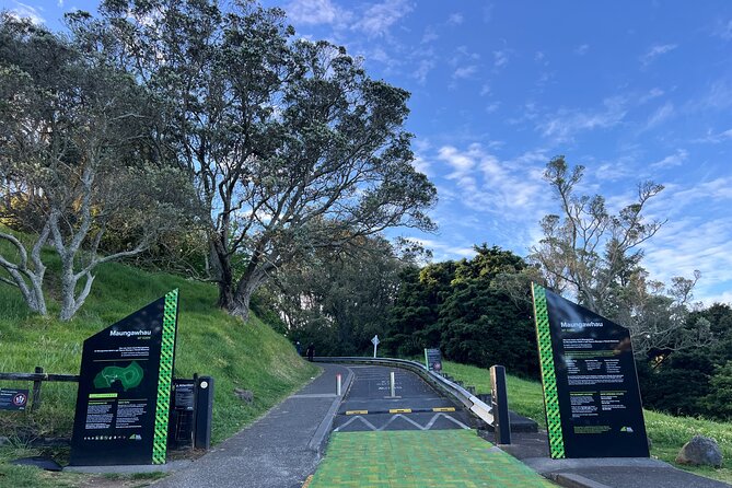 Half-Day Tour: AUCKLAND CITY Highlights with Hotel Pickup - Auckland highlights in 3 hours, and why it actually works
