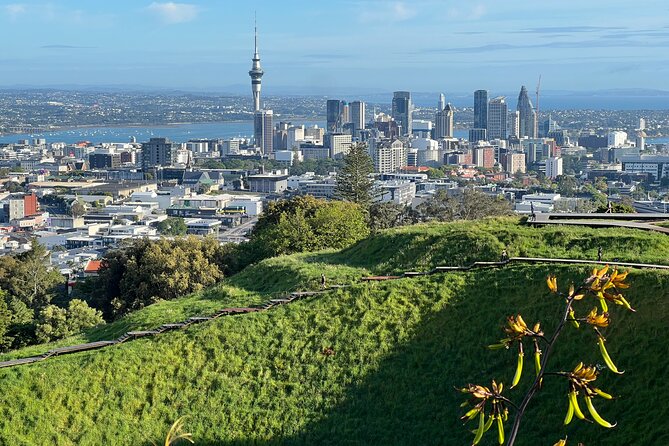 Half-Day Tour: AUCKLAND CITY Highlights with Hotel Pickup - Skyline stops that move fast: Sky Tower and Auckland Harbour Bridge