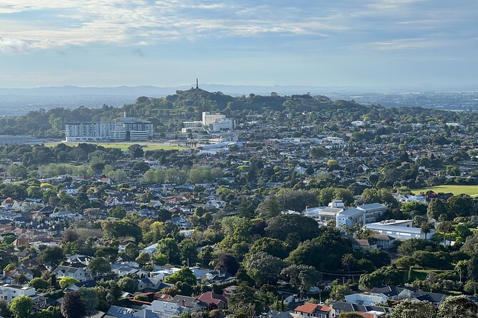 Half-Day Tour: AUCKLAND CITY Highlights with Hotel Pickup - Hotel pickup, small-group size, and the comfort check