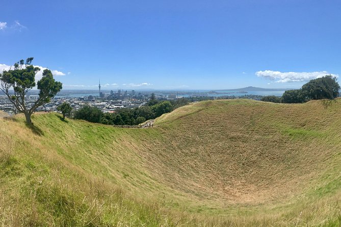 Half-Day Volcano Tour from Auckland - Key highlights worth your attention