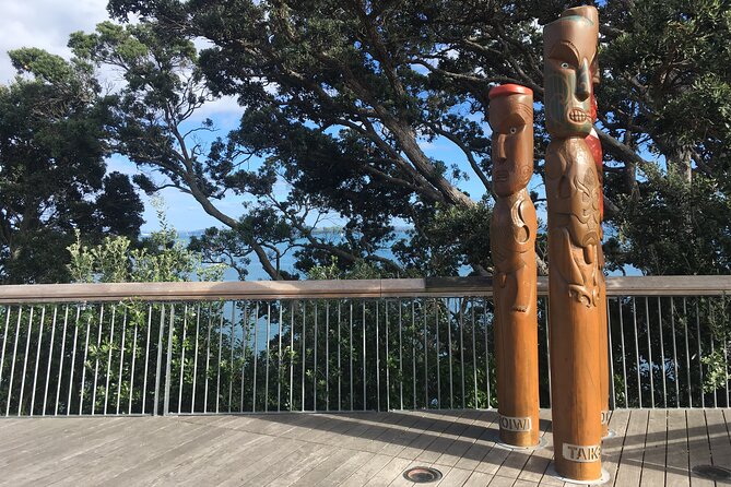 Half-Day Volcano Tour from Auckland - Pickup, Pace, and Group Size on a 5-Hour Morning