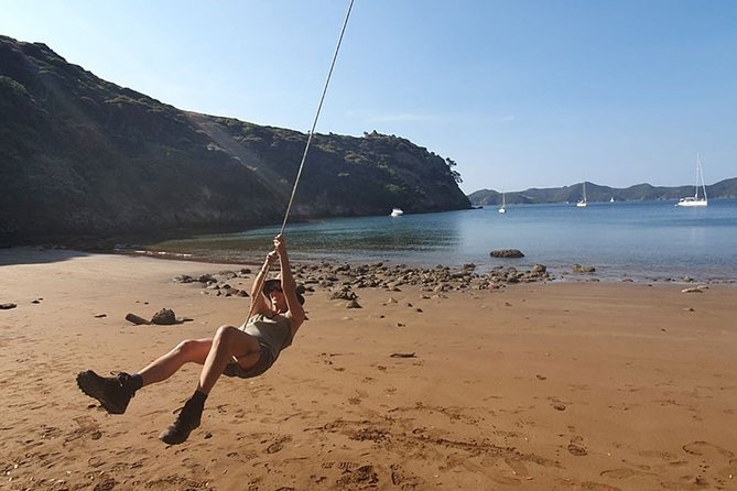 Hauraki Gulf Eco Sailing Adventure - Stop 1 on the pest-free island: birds, viewpoints, and water time