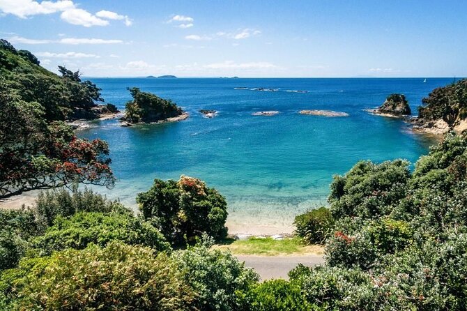 Hauraki Gulf Eco Sailing Adventure - Gear included: snorkeling and SUP without the hassle