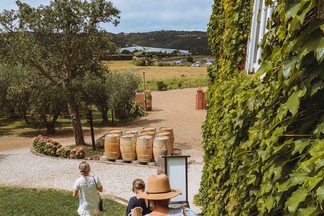 High End Sommelier Tour on Waiheke Island - Stop 1 and the Waiheke orientation you get before tasting