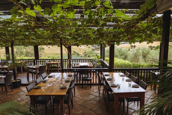 High End Sommelier Tour on Waiheke Island - The three-vineyard run: rare styles, better explanations