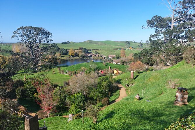 Hobbiton Afternoon Tour in Luxury Minibus from Auckland - The luxury minibus reality: seats, comfort, and what the Mercedes means