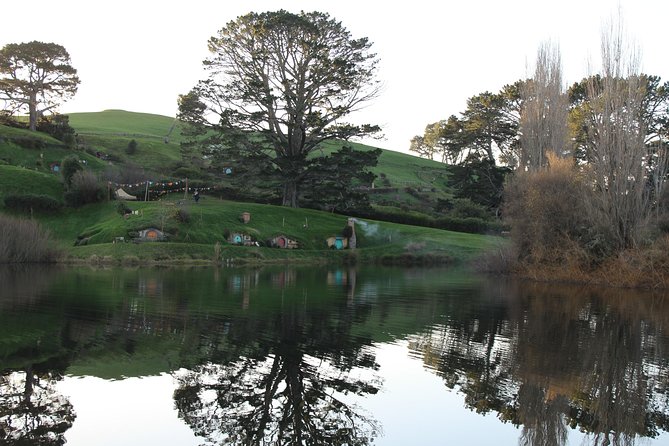 Hobbiton and Waitomo Caves from Auckland - Smaller Group - Out of Auckland: Why This Small-Group Layout Works
