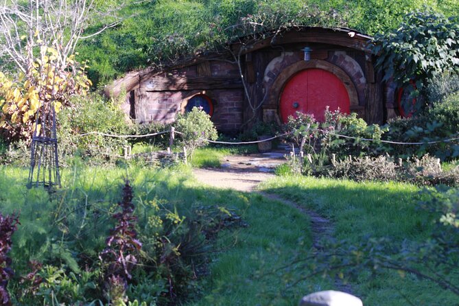 Hobbiton and Waitomo Caves from Auckland - Smaller Group - Waitomo Glowworm Caves: Guided Underground Lighting You Can Actually See