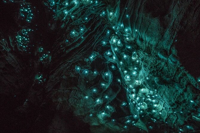 Hobbiton and Waitomo Caves Small Tour from Auckland - Price and value: what $313.39 includes, and what it doesn’t
