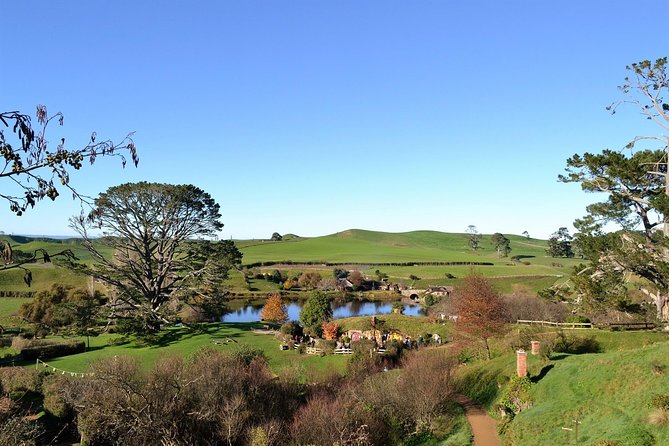 Hobbiton Movie Set Group Tour Early Access (Avoid the crowds!) - The ride through Waikato, and how the guides make it land
