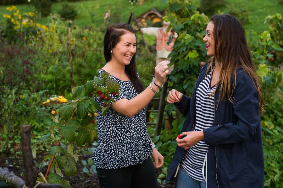 Hobbiton Movie Set & Rotorua Premium Day Tour from Auckland - Guides and driving: the day runs on the people