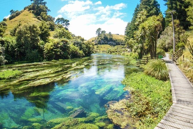 Hobbiton Movie Set Tour to Blue Springs and Mineral Spa - Te Aroha Mineral Spa: One Hour, Private Tub Soak, and Real Recovery Time