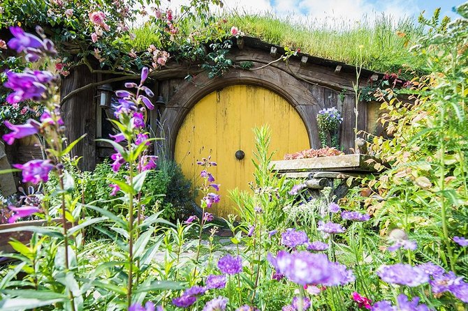 Hobbiton & Rotorua Small Group Tour including Te Puia from Auckland - What to Bring, and How to Make This Day Feel Easier