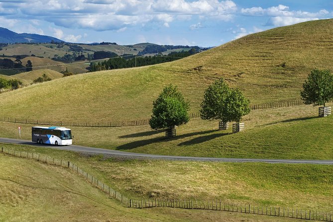 Hobbiton & Waitomo Caves Guided Tour from Auckland with Lunch - FAQ