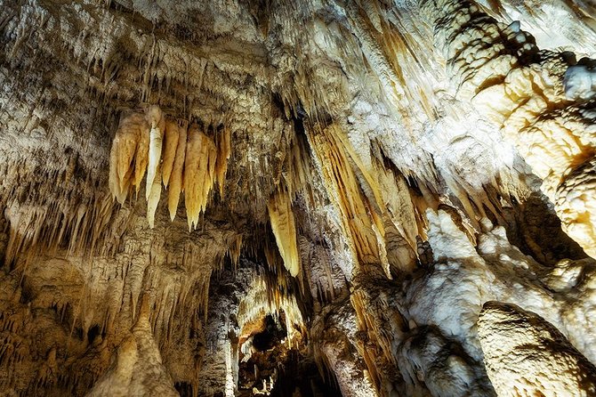 Hobbiton & Waitomo Caves Small Group Tour from Auckland inc Lunch - How the 12-hour day trip really feels