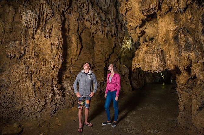 Hobbiton & Waitomo Caves Small Group Tour from Auckland inc Lunch - Pickup, mobile tickets, and small-group comfort