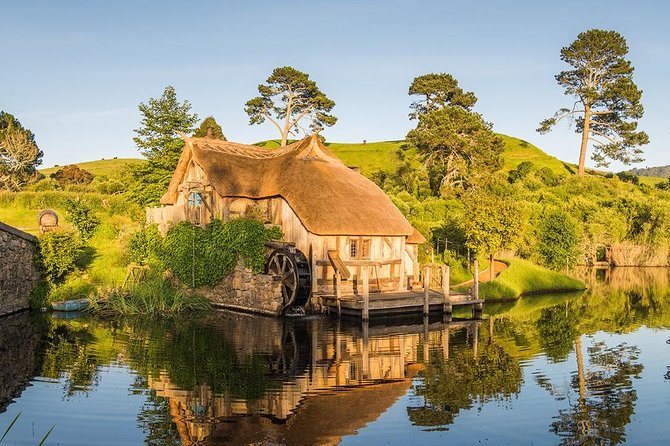 Hobbiton & Waitomo Caves Small-Group Tour W Lunch from Auckland - The Karapiro Stop: A Quick Lake Break With Big-View Energy