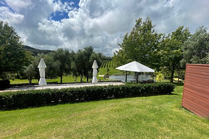 Kumeu Wine Tour - Kumeu and Muriwai: Why This Mix Works