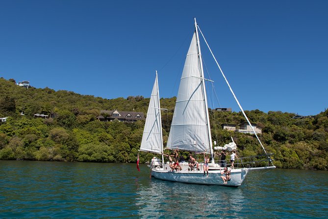 Lake Taupō Private Day Tour from Auckland to Māori Rock Carvings - What the day is really like, hour by hour