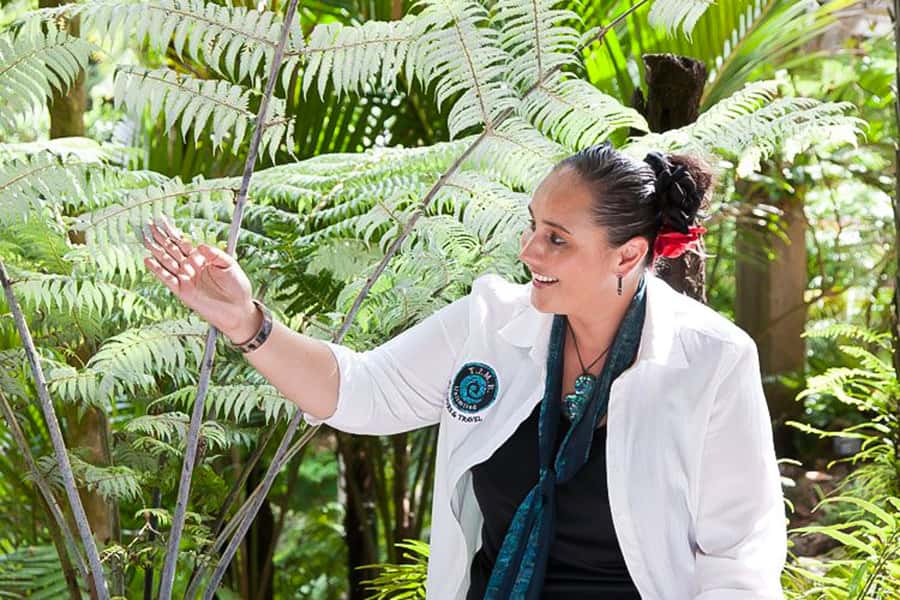 Luxury Auckland & West Coast Day Tour with Maori Guide - Rangitoto and the Auckland Harbour Bridge: volcano drama with real views