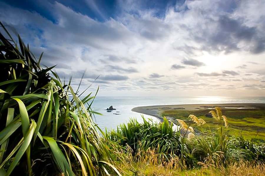 Luxury Auckland & West Coast Day Tour with Maori Guide - Devonport waterfront time: coffee-and-views village energy