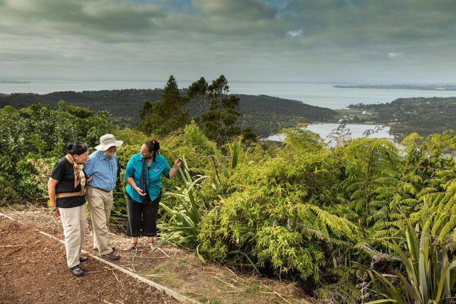 Luxury Auckland & West Coast Day Tour with Maori Guide - Black sand beaches, cliff tops, and stormy seas