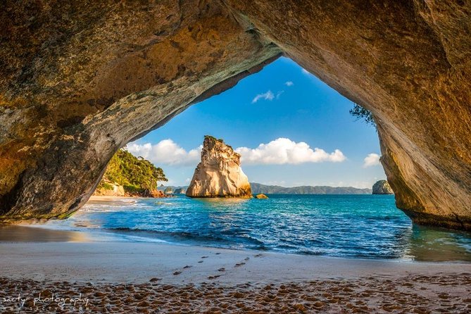 Luxury Private Transfers: Auckland Airport to City - Who This Transfer Works Best For
