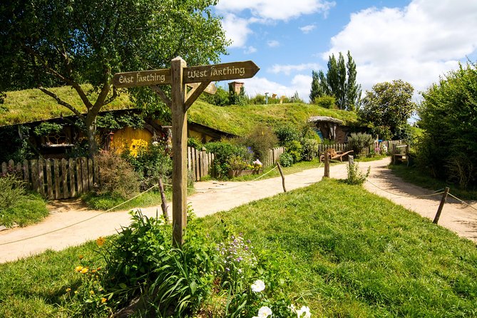 Luxury Small group tour from Auckland to Hobbiton Movie Set - Key highlights that matter (not just the marketing)