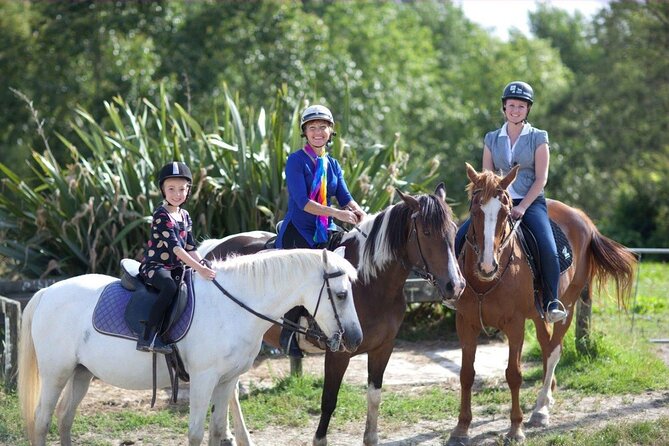 Matakana Art & Horse Riding Experience Private Tour From Auckland - Key points you will care about