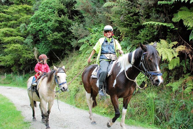 Matakana Art & Horse Riding Experience Private Tour From Auckland - Pickup and minibus comfort from Auckland CBD