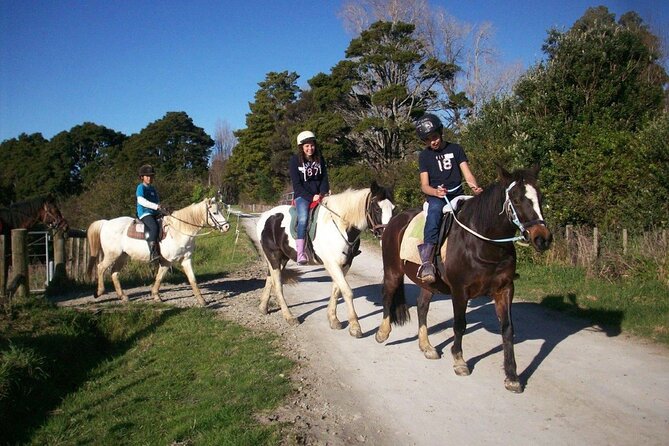 Matakana Art & Horse Riding Experience Private Tour From Auckland - Finishing sweet: Chocolate Brown tastings and watching chocolatiers