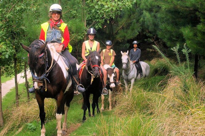 Matakana Art & Horse Riding Experience Private Tour From Auckland - Charlies Gelato in Matakana: a real local-style finish
