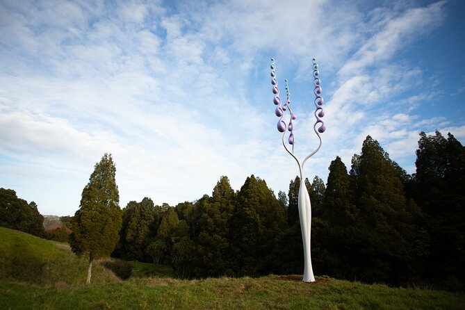 Matakana Art & Vineyard Experience incl. Lunch & Wine Tasting Tour From Auckland - How the $588.92 price stacks up for what you actually get