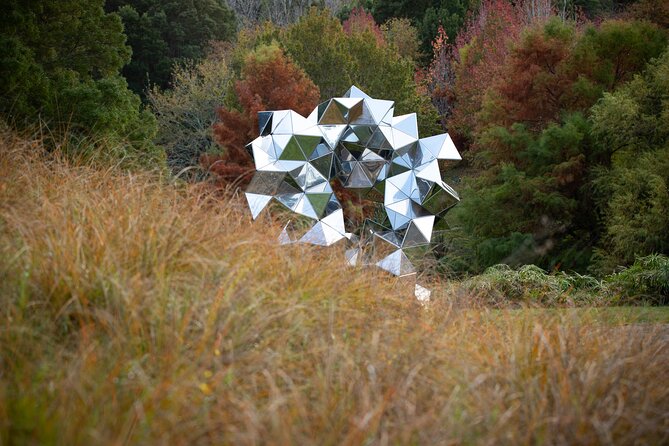 Matakana Art & Vineyard Experience incl. Lunch & Wine Tasting Tour From Auckland - Chocolate Brown, the sweet start that sets the tone