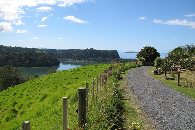 Matakana Scenic Coastal Getaway from Auckland - Quick hits for your Auckland wine day