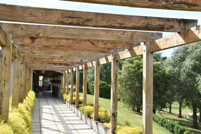 Muriwai Scenic Wine Tour from Auckland - Price and value: what $114.81 buys you