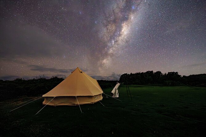 Nocturnal Wonders Tawharanui Kiwi Spotting and Stargazing Tour - Price and value: is $93.09 a fair deal for kiwi and stargazing?