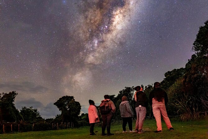 Nocturnal Wonders Tawharanui Kiwi Spotting and Stargazing Tour - What to know before you go: the weather reality