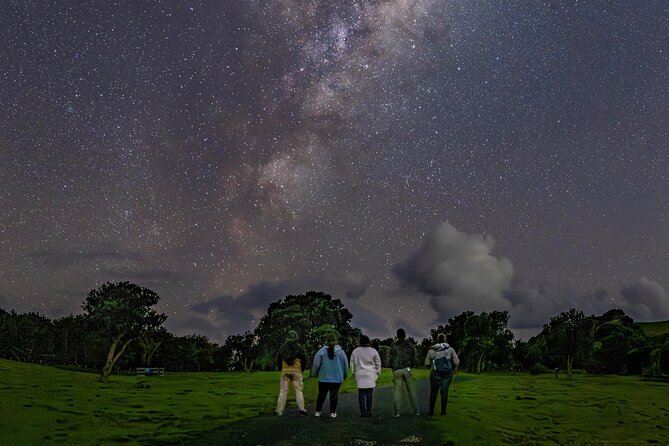 Nocturnal Wonders Tawharanui Kiwi Spotting and Stargazing Tour - Meeting at Tawharanui Peninsula, and how the 3-hour rhythm works